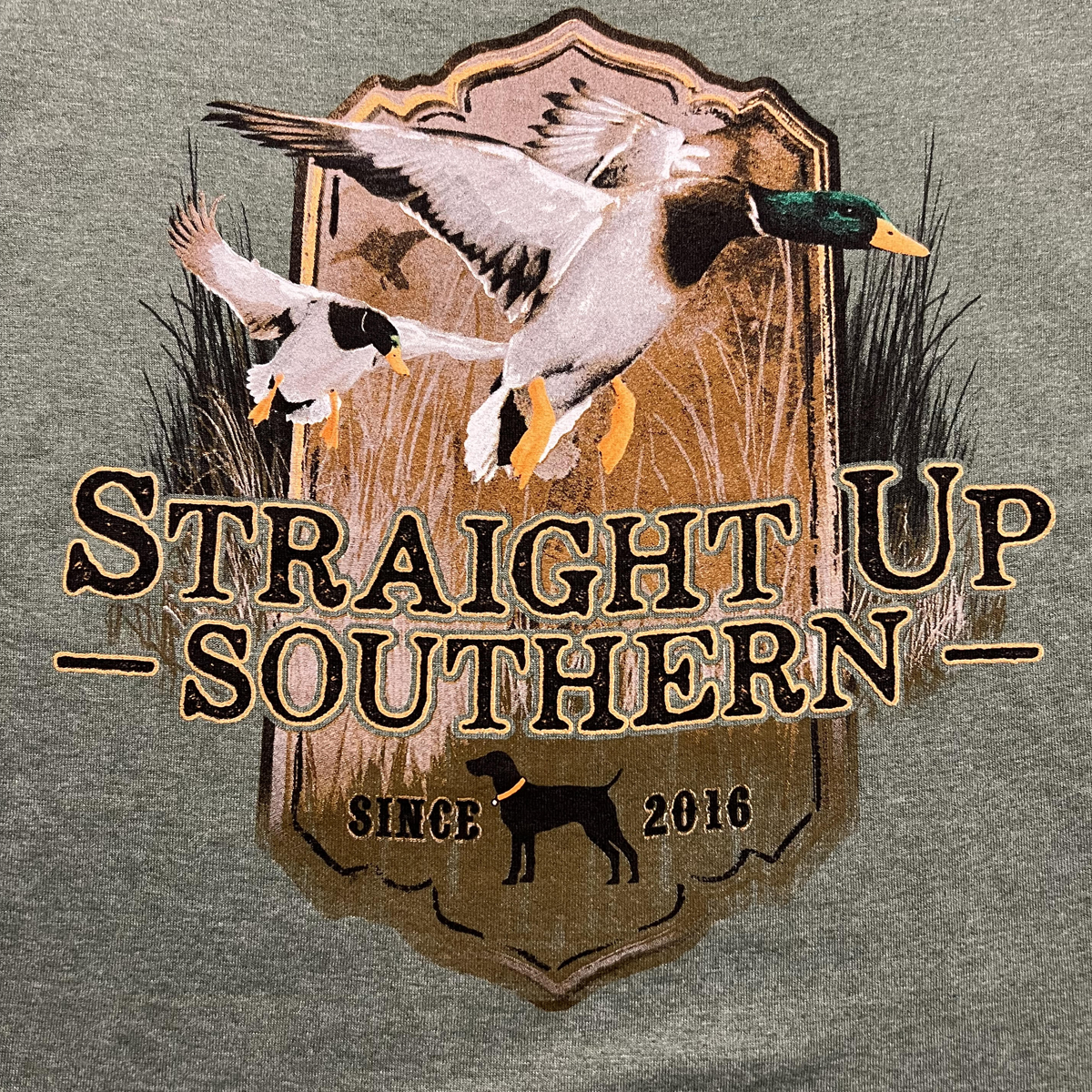 Mallard Flight - Mallard Ducks Approaching a Marsh Tee - Heather Green